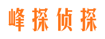 岳西峰探私家侦探公司